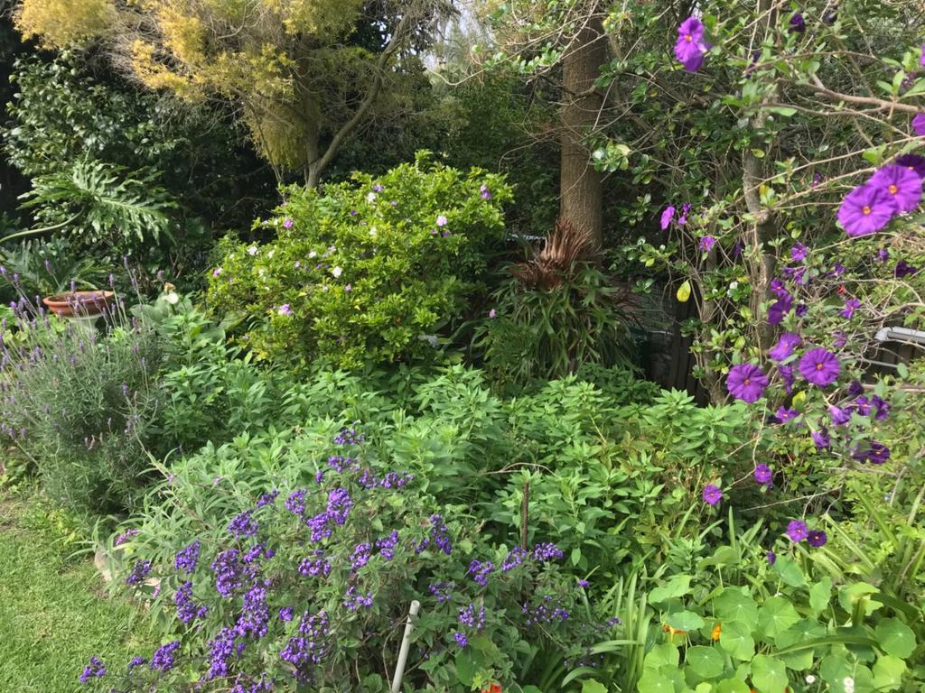 Valley Heights Guest House And B & B Cape Town Bagian luar foto