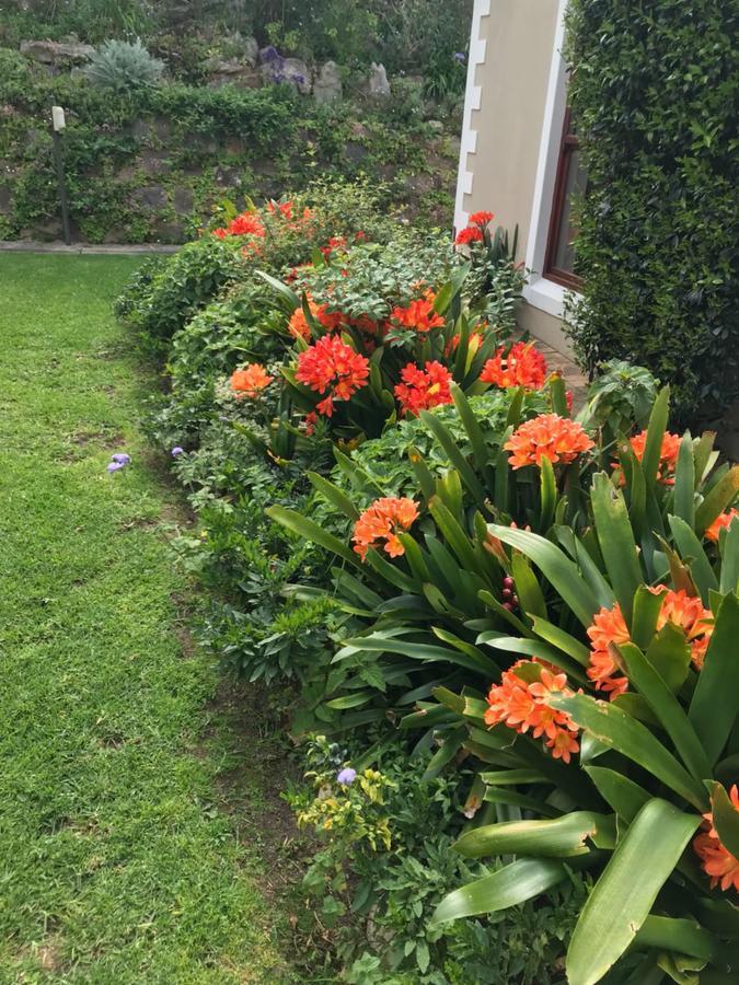 Valley Heights Guest House And B & B Cape Town Bagian luar foto