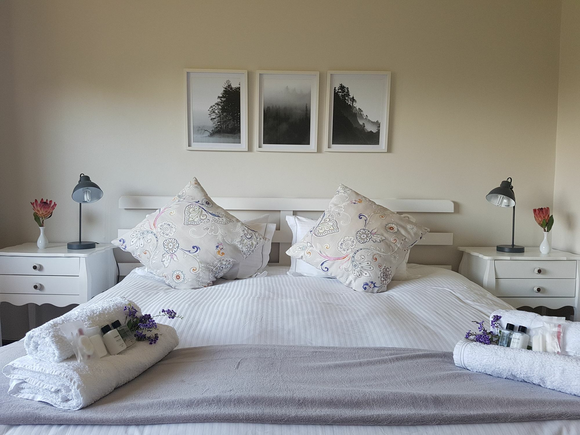 Valley Heights Guest House And B & B Cape Town Bagian luar foto