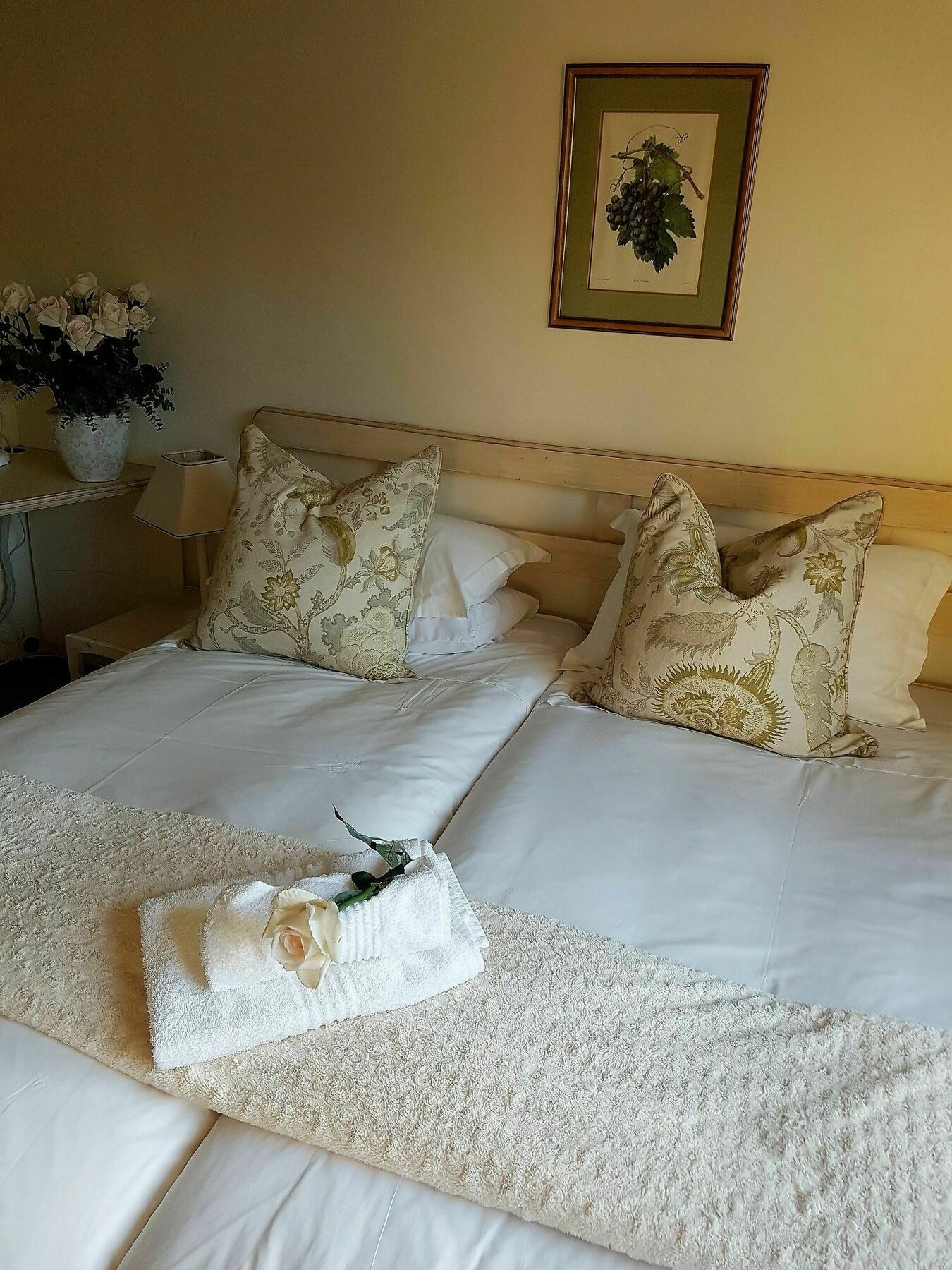 Valley Heights Guest House And B & B Cape Town Bagian luar foto